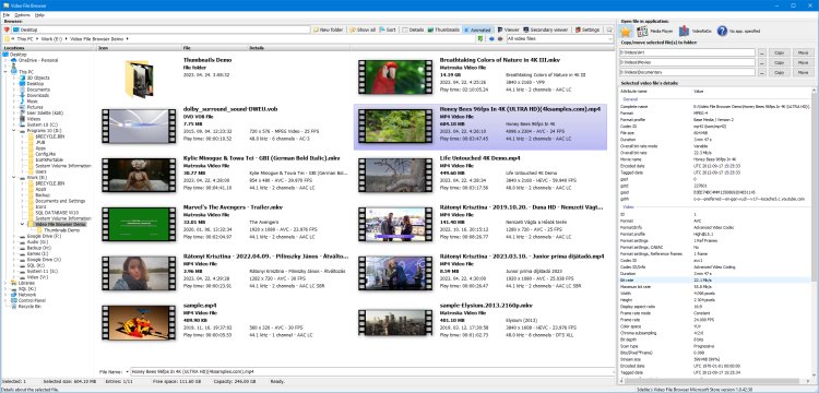 3delite Video File Browser 2023 Free Download